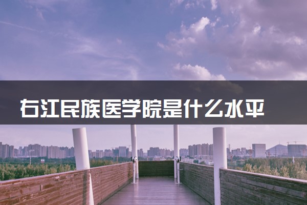 右江民族医学院是什么水平 好不好考