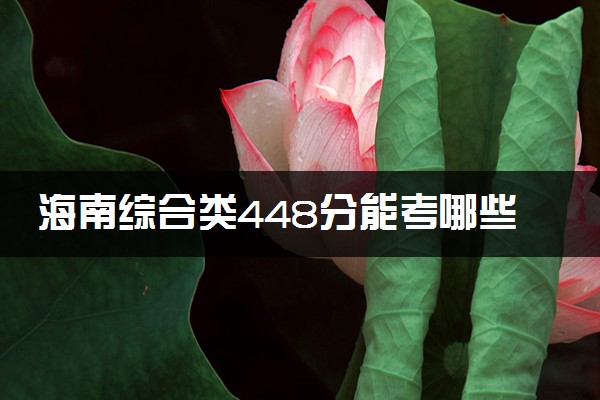 海南综合类448分能考哪些大学 2025考生稳上的大学名单