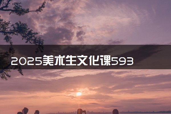 2025美术生文化课593分能上太原理工大学吗