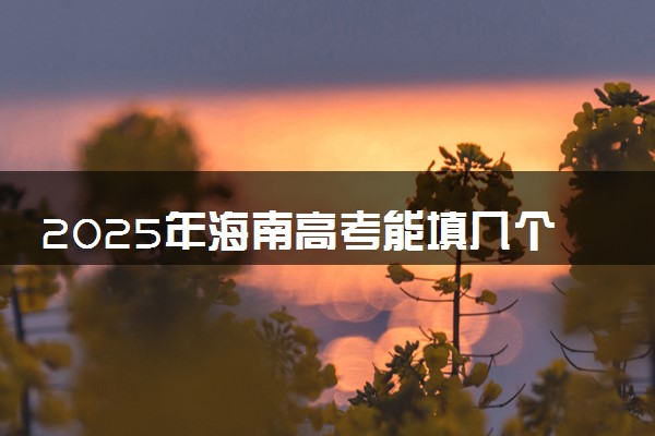 2025年海南高考能填几个志愿和几个专业