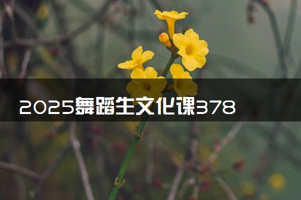 2025舞蹈生文化课378分能上江西建设职业技术学院吗