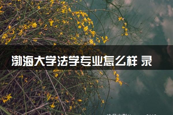 渤海大学法学专业怎么样 录取分数线多少