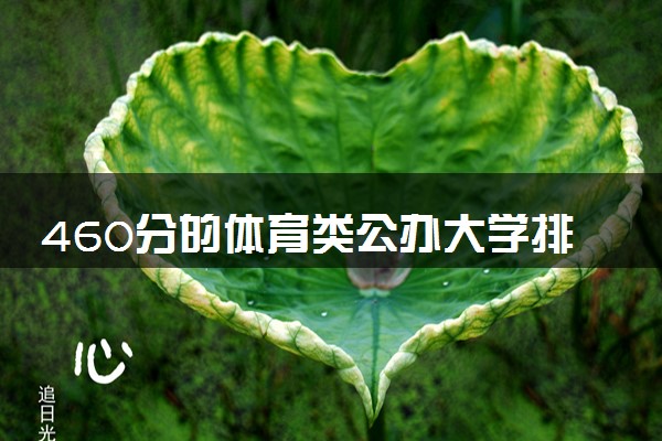 460分的体育类公办大学排行榜（2025考生参考)