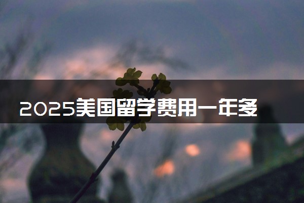 2025美国留学费用一年多少钱 怎么省钱的