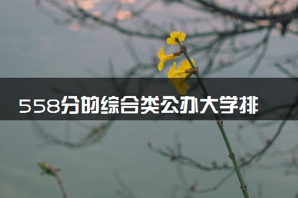 558分的综合类公办大学排行榜（2025考生参考)
