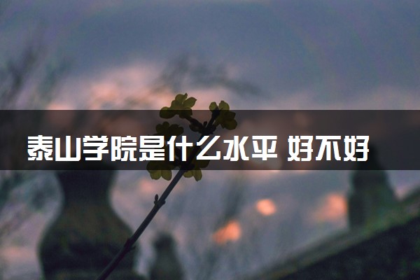 泰山学院是什么水平 好不好考