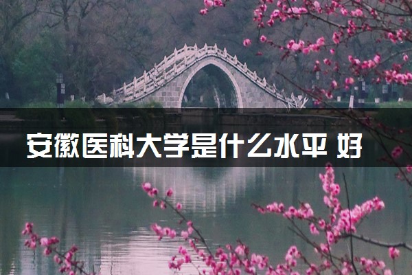 安徽医科大学是什么水平 好不好考