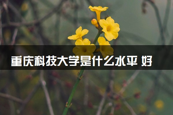 重庆科技大学是什么水平 好不好考