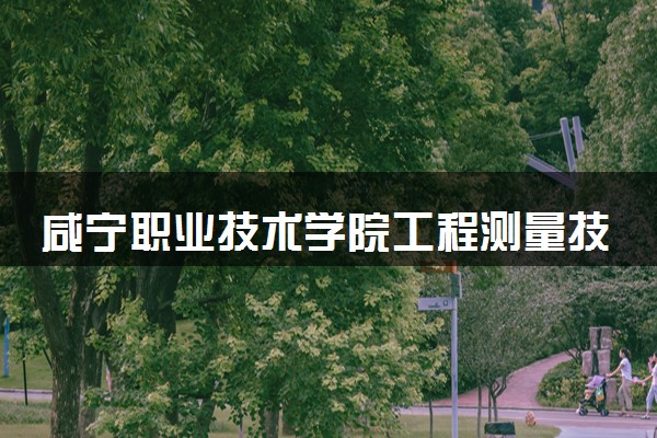 咸宁职业技术学院工程测量技术专业怎么样 录取分数线多少