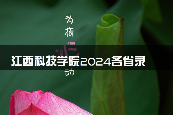 江西科技学院2024各省录取分数线及最低位次是多少