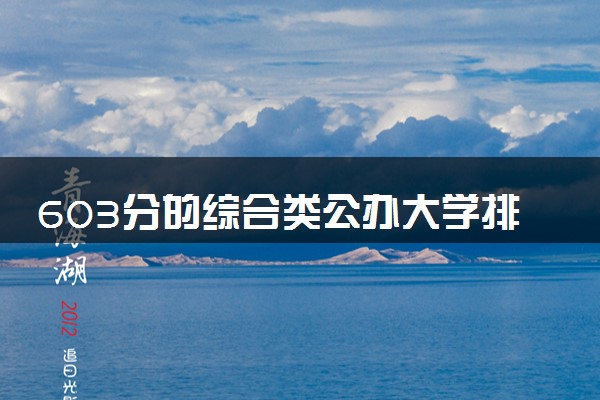 603分的综合类公办大学排行榜（2025考生参考)