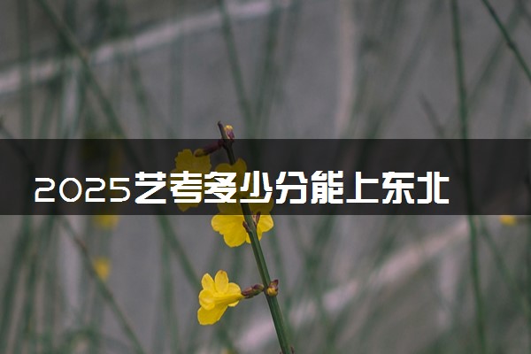 2025艺考多少分能上东北财经大学 最低分数线是多少