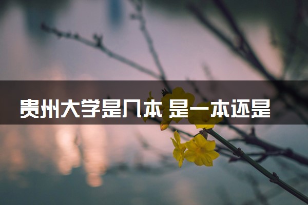 贵州大学是几本 是一本还是二本大学