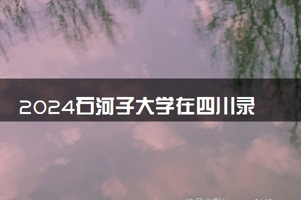 2024石河子大学在四川录取分数线 各专业分数及位次