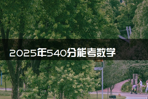 2025年540分能考数学与应用数学专业吗 540分数学与应用数学专业大学推荐