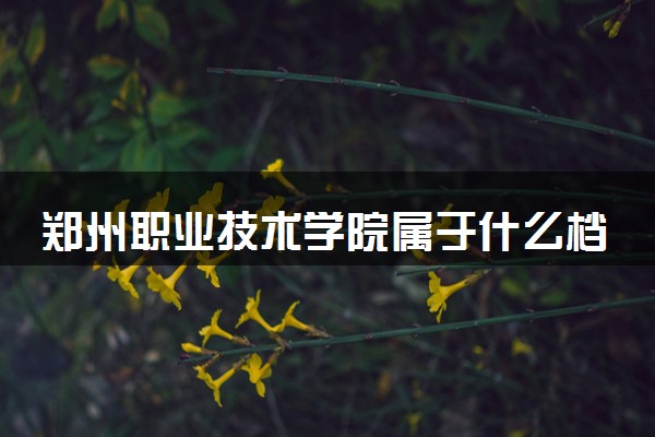 郑州职业技术学院属于什么档次 学校好不好