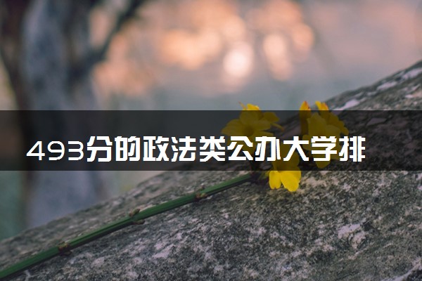 493分的政法类公办大学排行榜（2025考生参考)