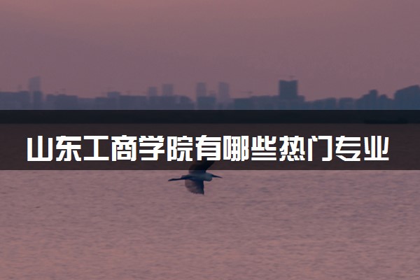 山东工商学院有哪些热门专业 推荐的王牌专业