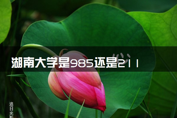 湖南大学是985还是211 含金量怎么样