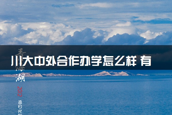川大中外合作办学怎么样 有什么专业