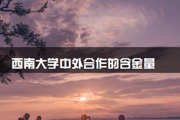 西南大学中外合作的含金量 优缺点有哪些