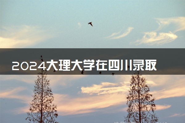 2024大理大学在四川录取分数线 各专业分数及位次