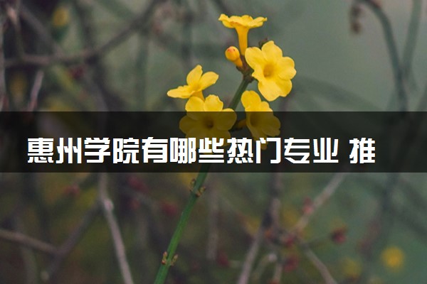 惠州学院有哪些热门专业 推荐的王牌专业