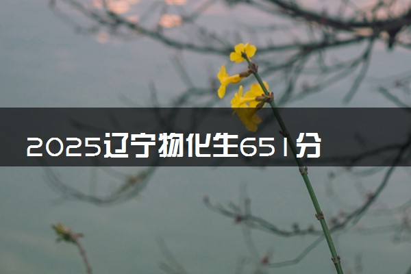 2025辽宁物化生651分左右能上什么大学 可以报考的院校名单