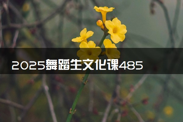 2025舞蹈生文化课485分能上长春工业大学吗