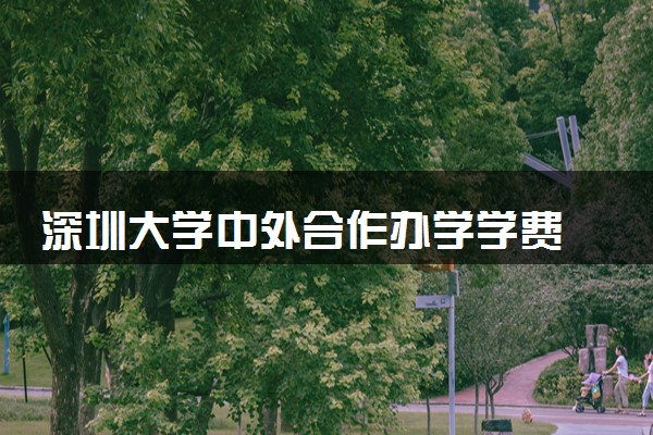 深圳大学中外合作办学学费 最便宜的学院是哪个