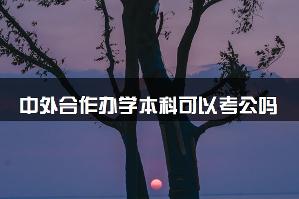中外合作办学本科可以考公吗 受限制吗