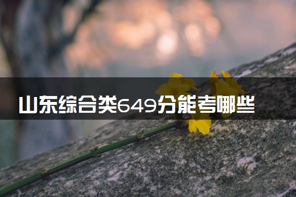 山东综合类649分能考哪些大学 2025考生稳上的大学名单