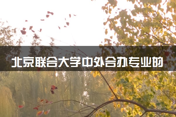 北京联合大学中外合办专业的含金量 哪个专业最好