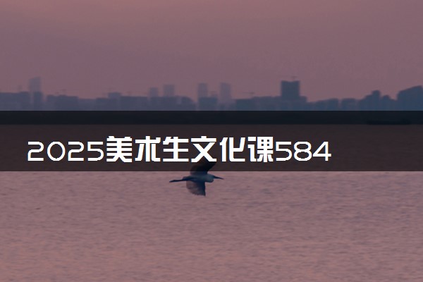 2025美术生文化课584分能上同济大学吗