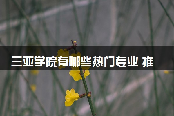 三亚学院有哪些热门专业 推荐的王牌专业