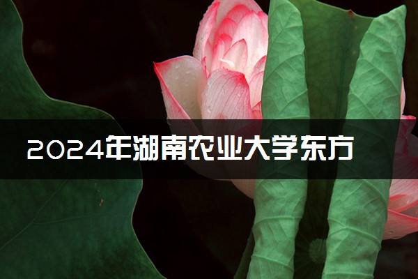 2024年湖南农业大学东方科技学院录取分数线是多少 各省最低分数线及位次