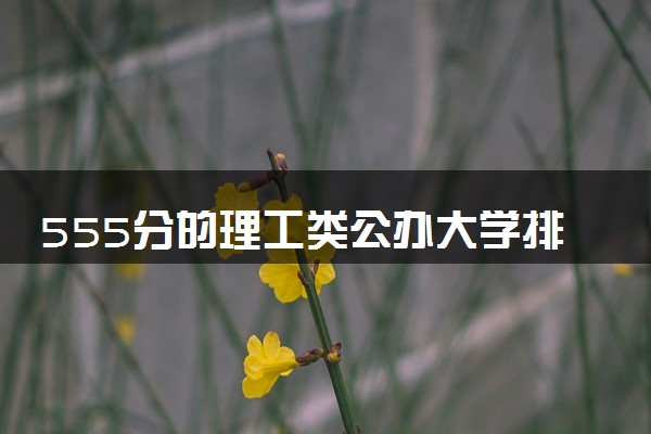 555分的理工类公办大学排行榜（2025考生参考)