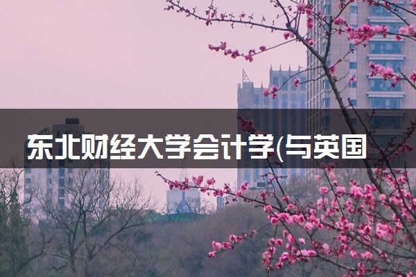 东北财经大学会计学（与英国奥斯特大学合作办学项目）专业怎么样 录取分数线多少