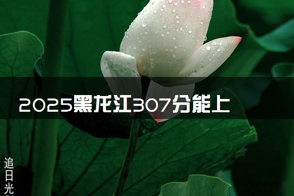2025黑龙江307分能上的大学有哪些 可以报考院校名单