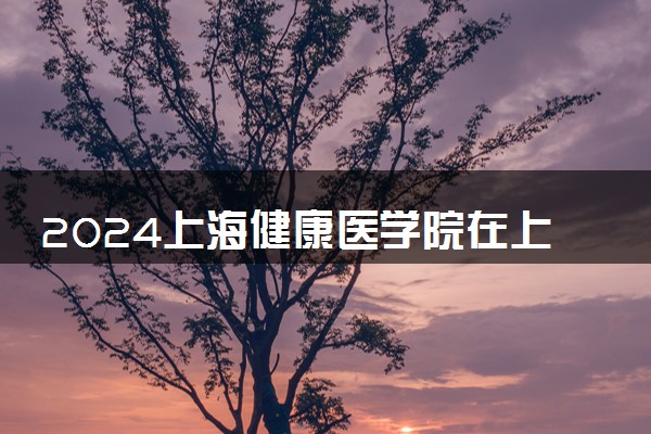 2024上海健康医学院在上海录取分数线 各专业分数及位次