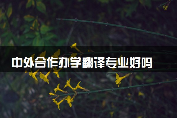 中外合作办学翻译专业好吗 留学院校有哪些