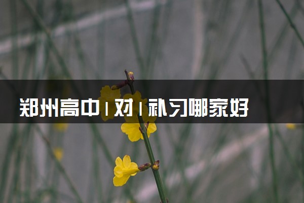 郑州高中1对1补习哪家好