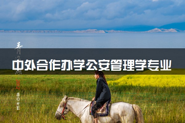 中外合作办学公安管理学专业好吗 留学院校有哪些