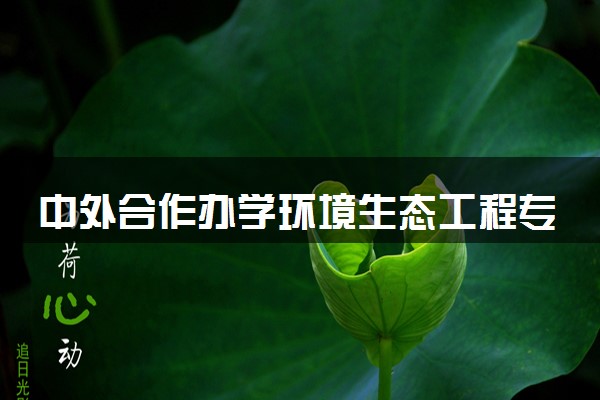中外合作办学环境生态工程专业好吗 留学院校有哪些