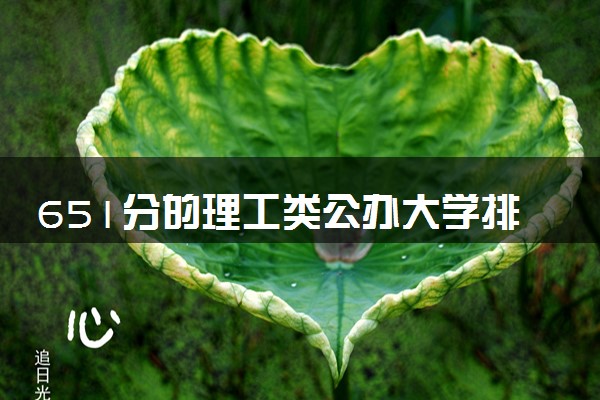 651分的理工类公办大学排行榜（2025考生参考)
