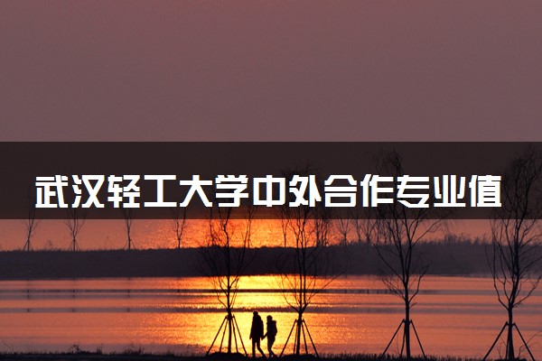 武汉轻工大学中外合作专业值得去读吗 毕业后拿什么学位