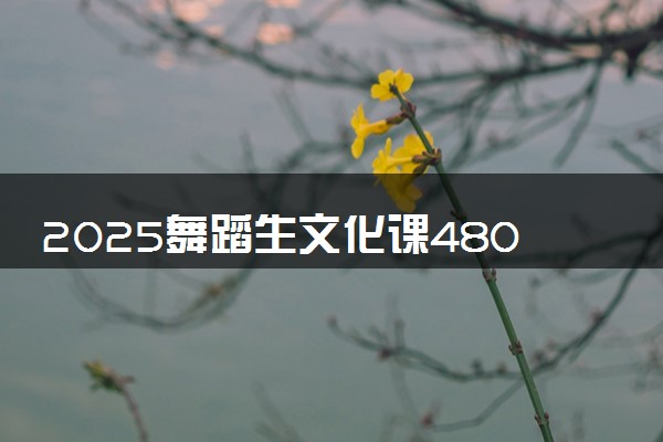 2025舞蹈生文化课480分能上鲁东大学吗