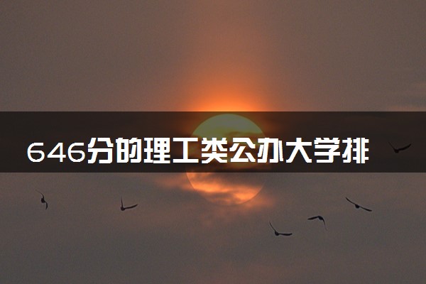 646分的理工类公办大学排行榜（2025考生参考)