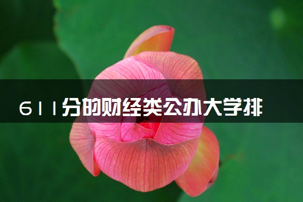 611分的财经类公办大学排行榜（2025考生参考)