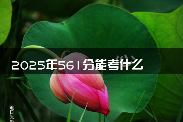 2025年561分能考什么政法类大学 哪些大学值得报